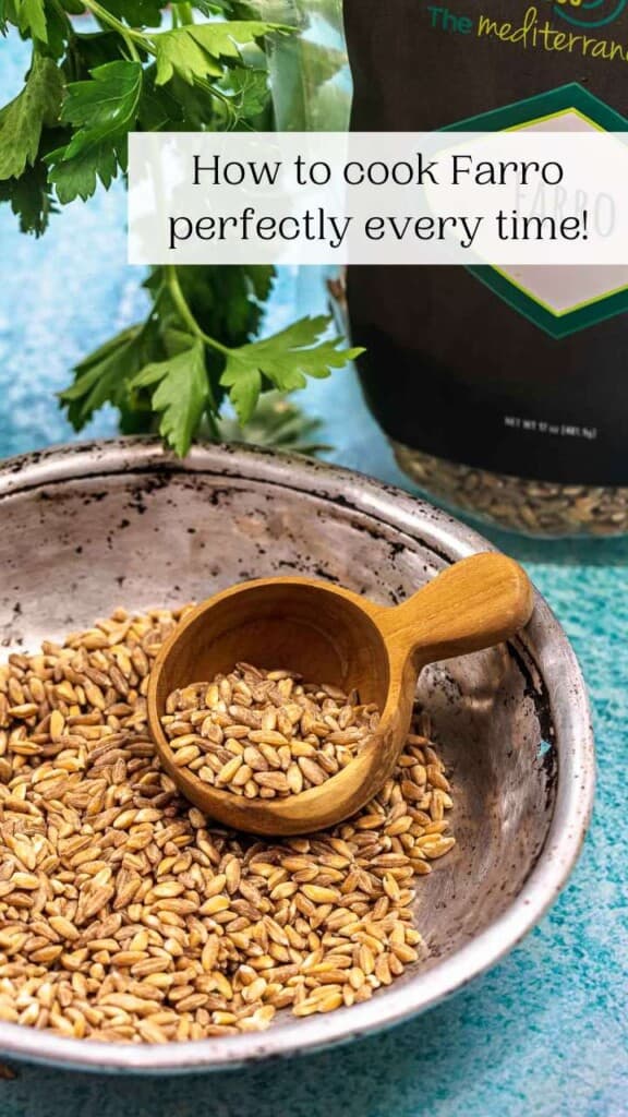 What is Farro? And How to Cook it! The Mediterranean Dish