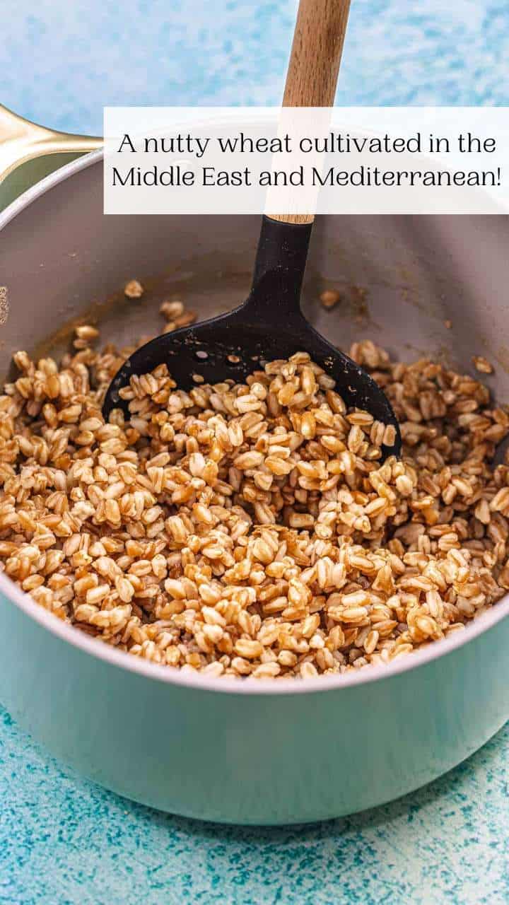 What is Farro? And How to Cook it! The Mediterranean Dish