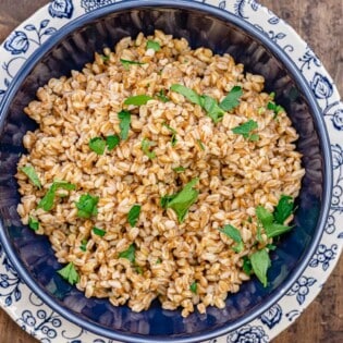 cooked farro garnished with parsley in a bowl next to two forks.