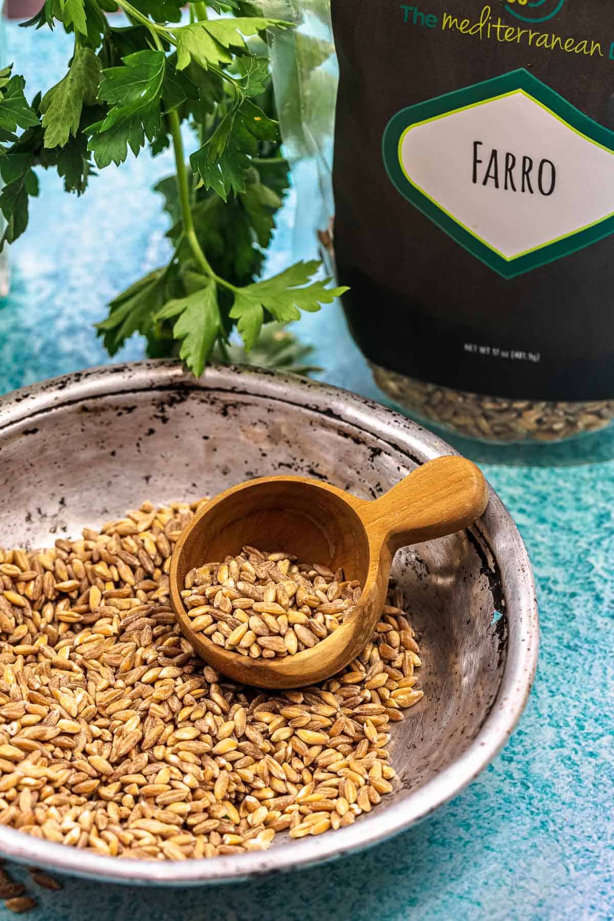 uncooked farro in a bowl being scooped with a wooden spoon in front of a bag of farro and some parsley.