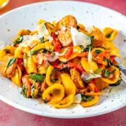 Bowl of orecchiette pasta with chorizo and shaved manchego cheese.