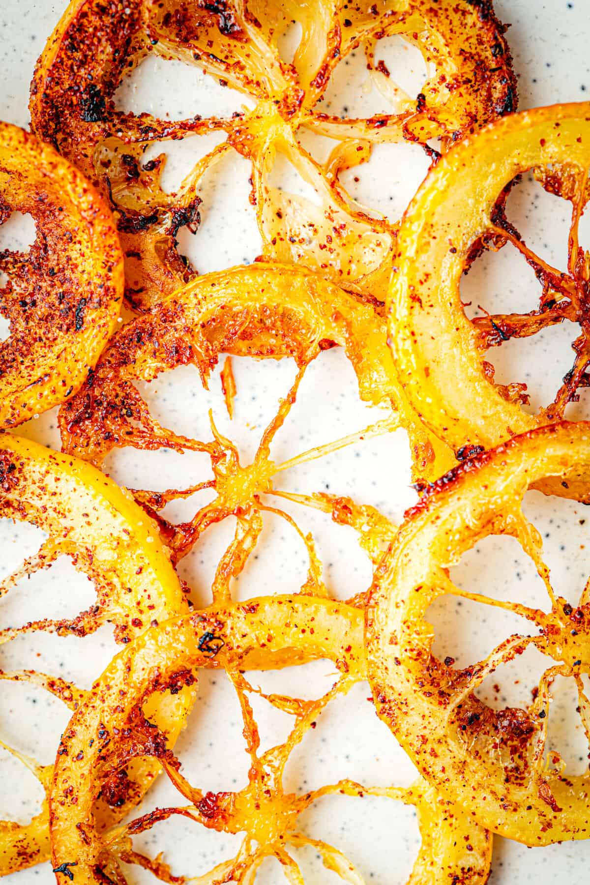 Close up of 7 fried lemon rings.