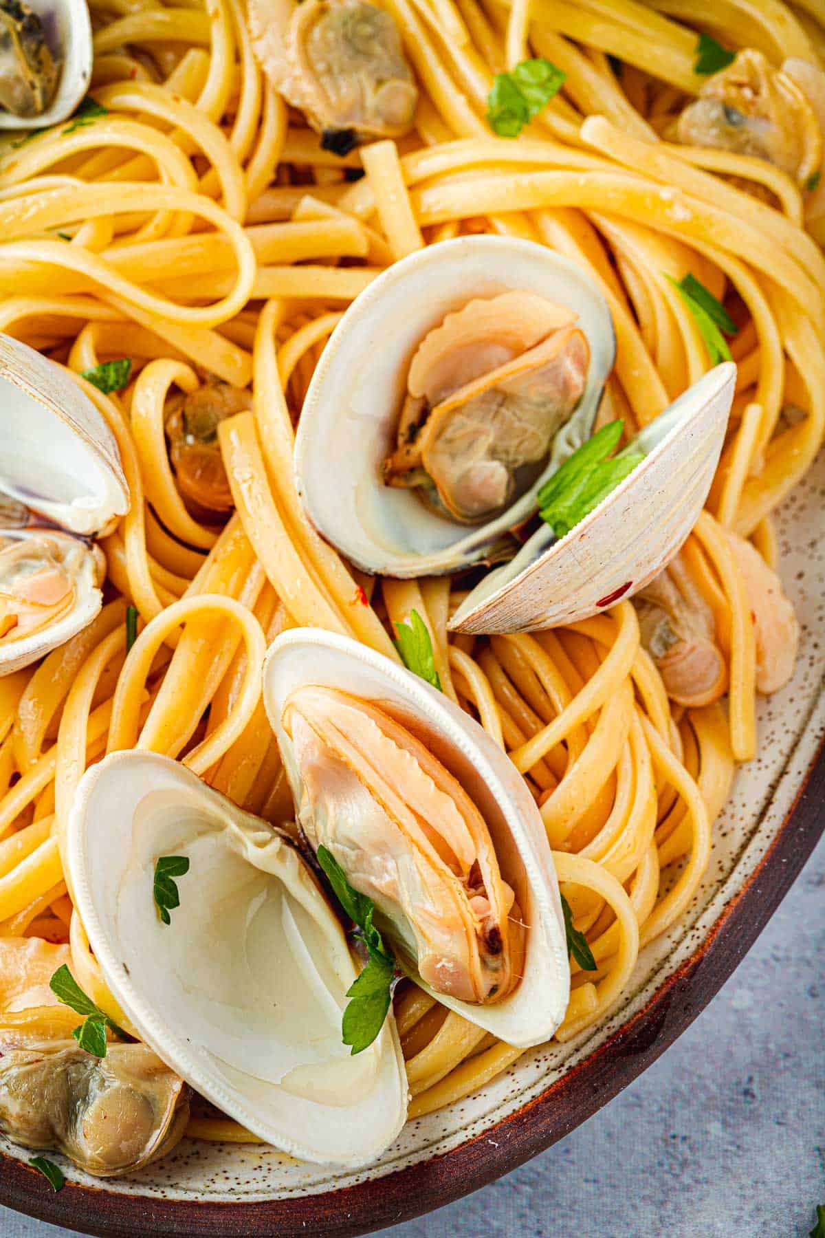 Close up shot of two open clams in their shell, resting on a plate of pasta.