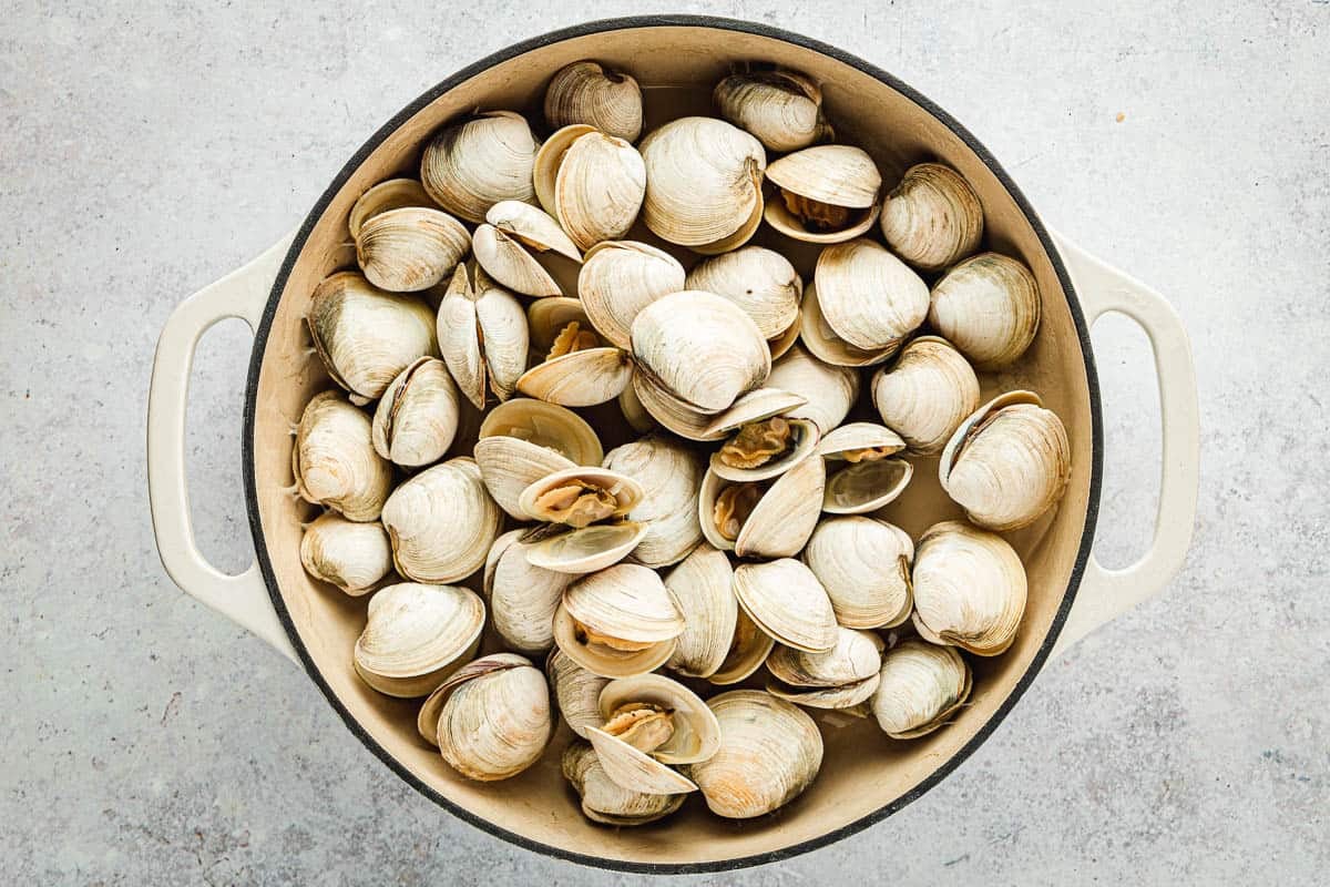 Clams beginning to open in a large white pot.