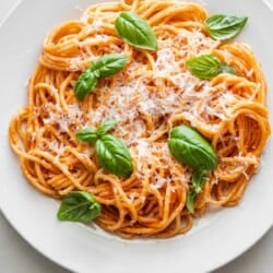 one plate of pasta pomodoro topped with grated parmesan and basil.