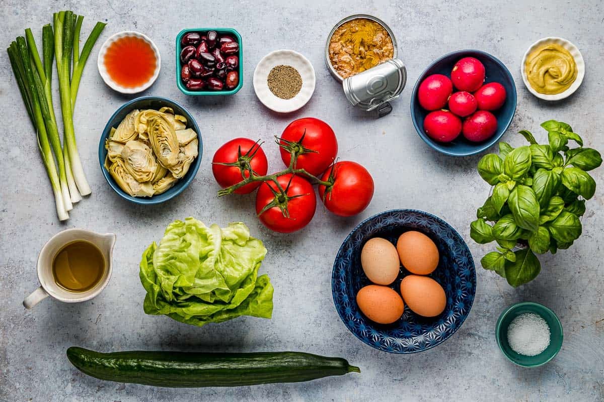 Green onions, red wine vinegar, salt, pepper, artichoke hearts, canned tuna, radishes, mustard, tomatoes, lettuce, cucumber, eggs, olive oil and basil.