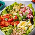 pin image 1 for nicoise salad.