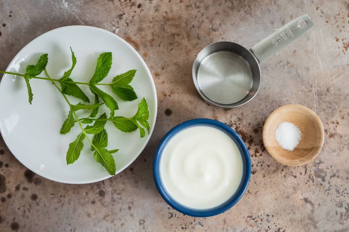 ingredients for ayran turkish yogurt drinks including plain yogurt, water, salt, and fresh mint.