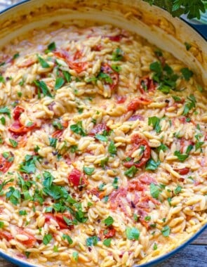creamy orzo web story poster image.