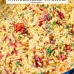 Pin image 1 for creamy orzo with blistered tomatoes.