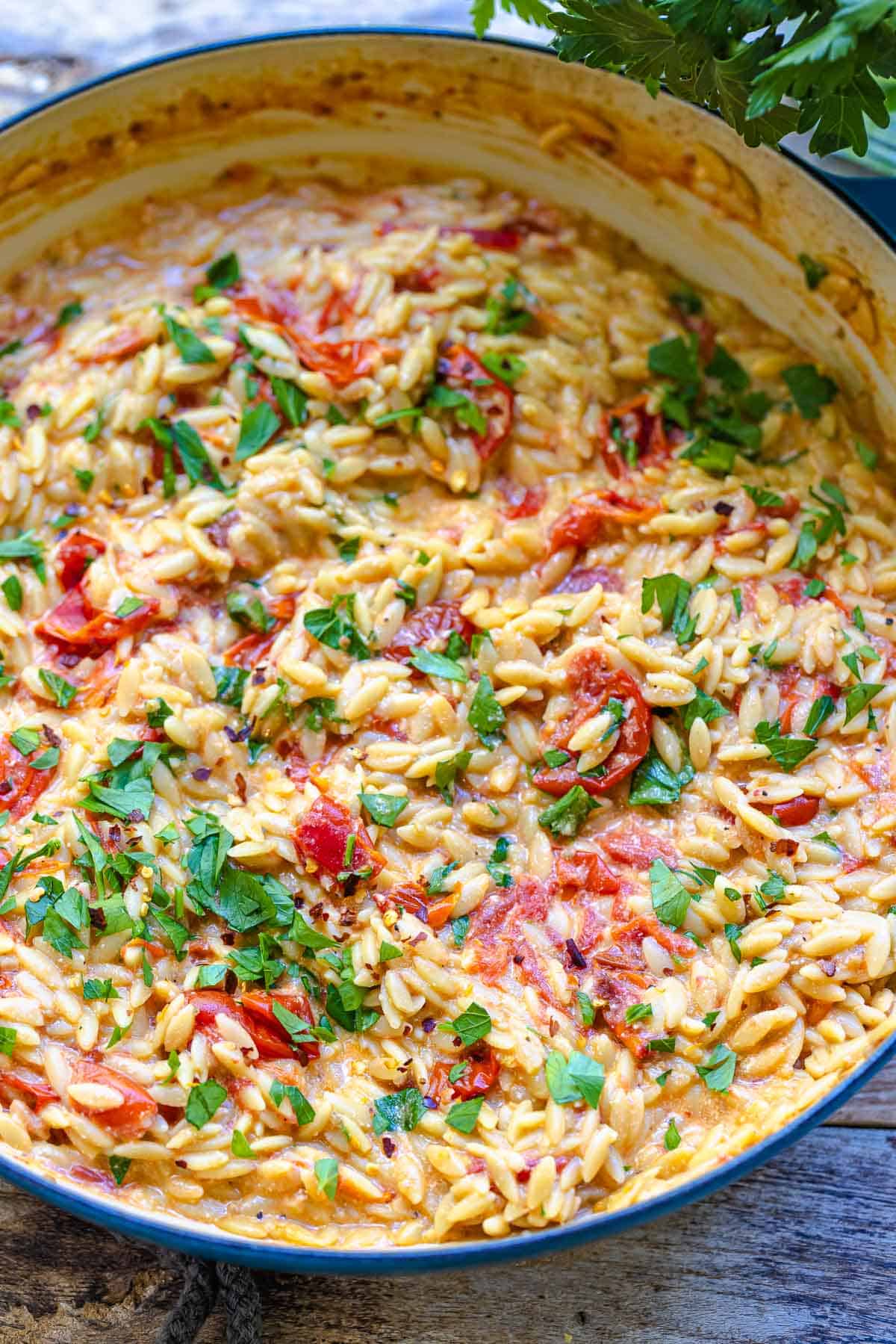 Creamy Orzo with Blistered Tomatoes