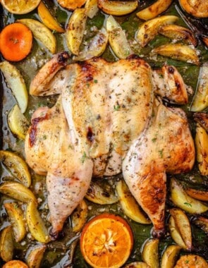 roast spatchcock chicken web story poster image.