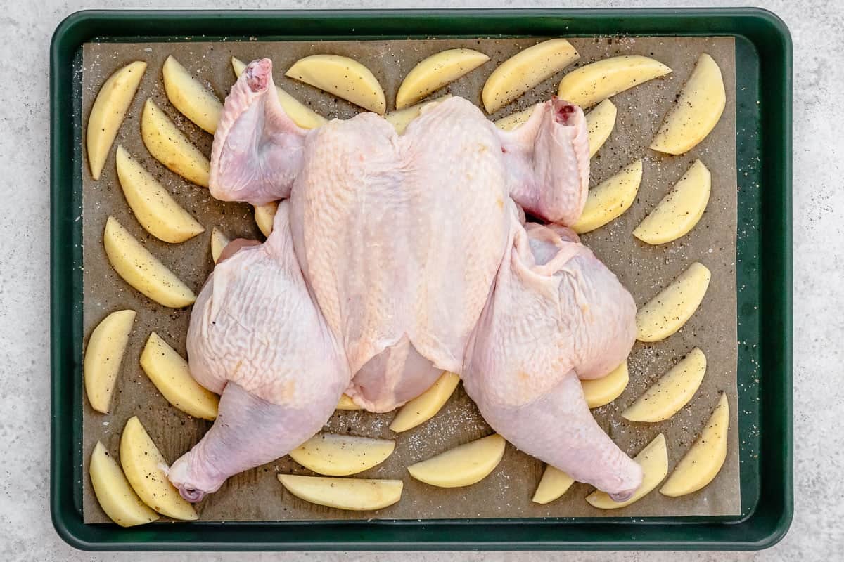 a raw spatchcocked chicken on a bed of raw potato wedges on a parchment lined sheet pan.