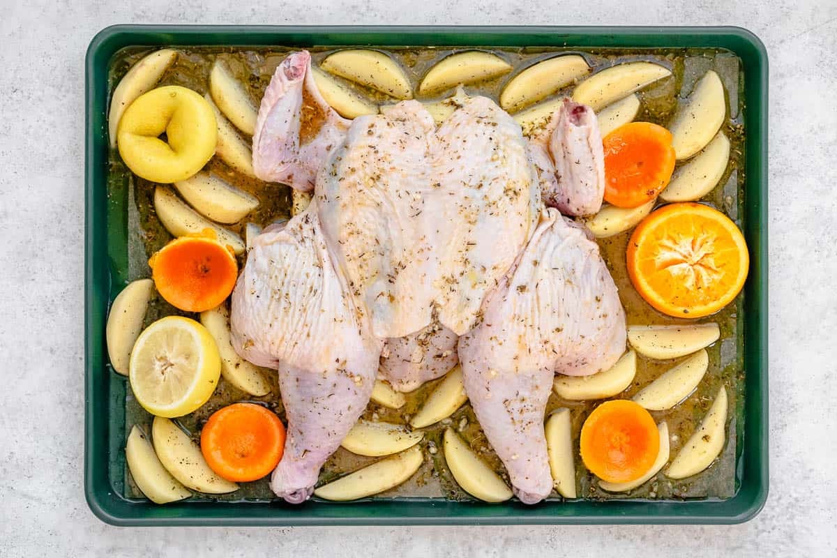 an uncooked spatchcock chicken on a bed of uncooked potato wedges and citrus pieces on a sheet pan.