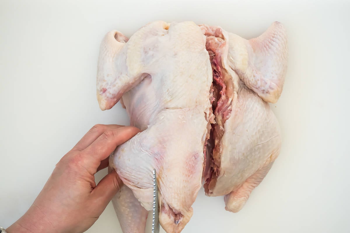 a whole raw chicken in the process of being spatchcocked with a pair of kitchen shears.