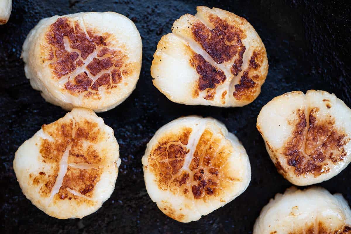 a close up of seared scallops.