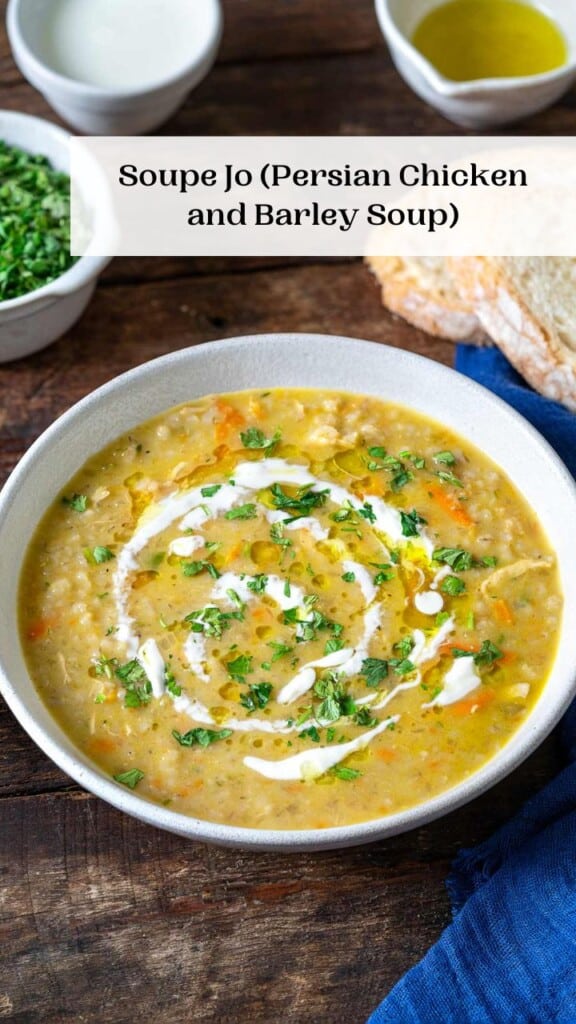 Soupe Jo (Persian Chicken and Barley Soup) The Mediterranean Dish