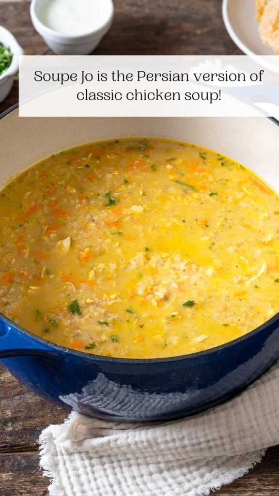 Soupe Jo (Persian Chicken and Barley Soup) The Mediterranean Dish