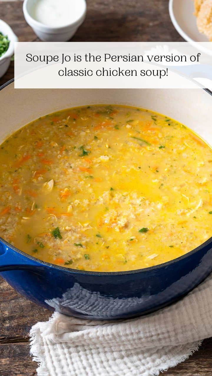 Soupe Jo (Persian Chicken and Barley Soup) The Mediterranean Dish