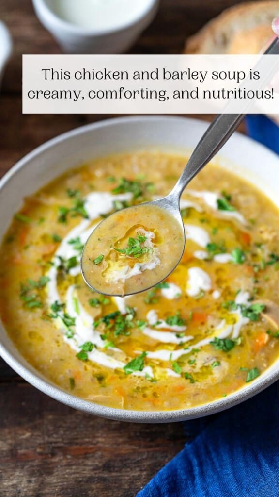Soupe Jo (Persian Chicken and Barley Soup) The Mediterranean Dish