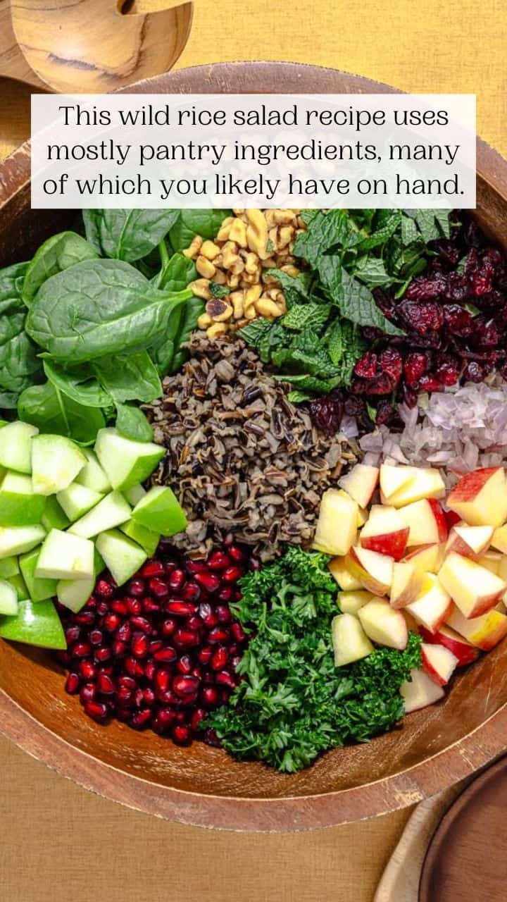 Wild Rice Salad The Mediterranean Dish