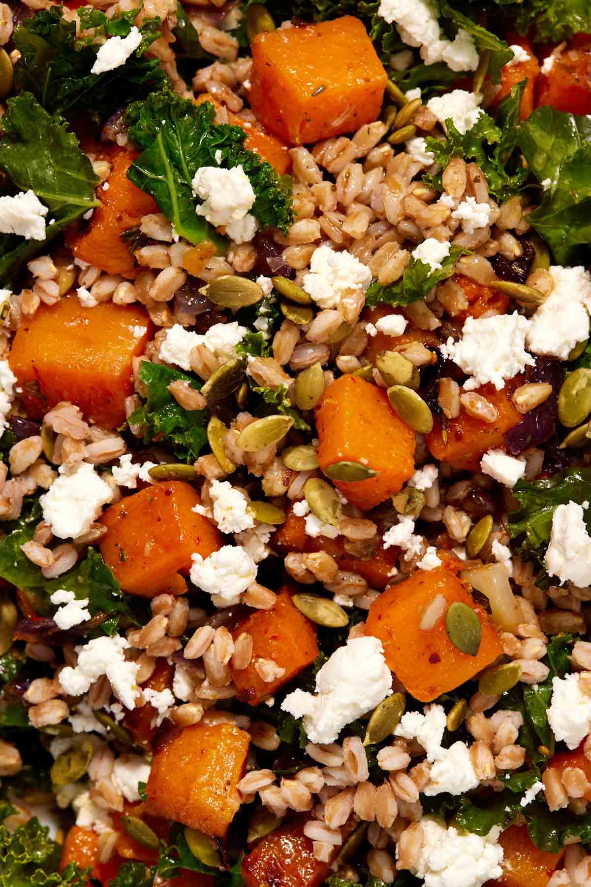 a close up of the butternut squash salad.