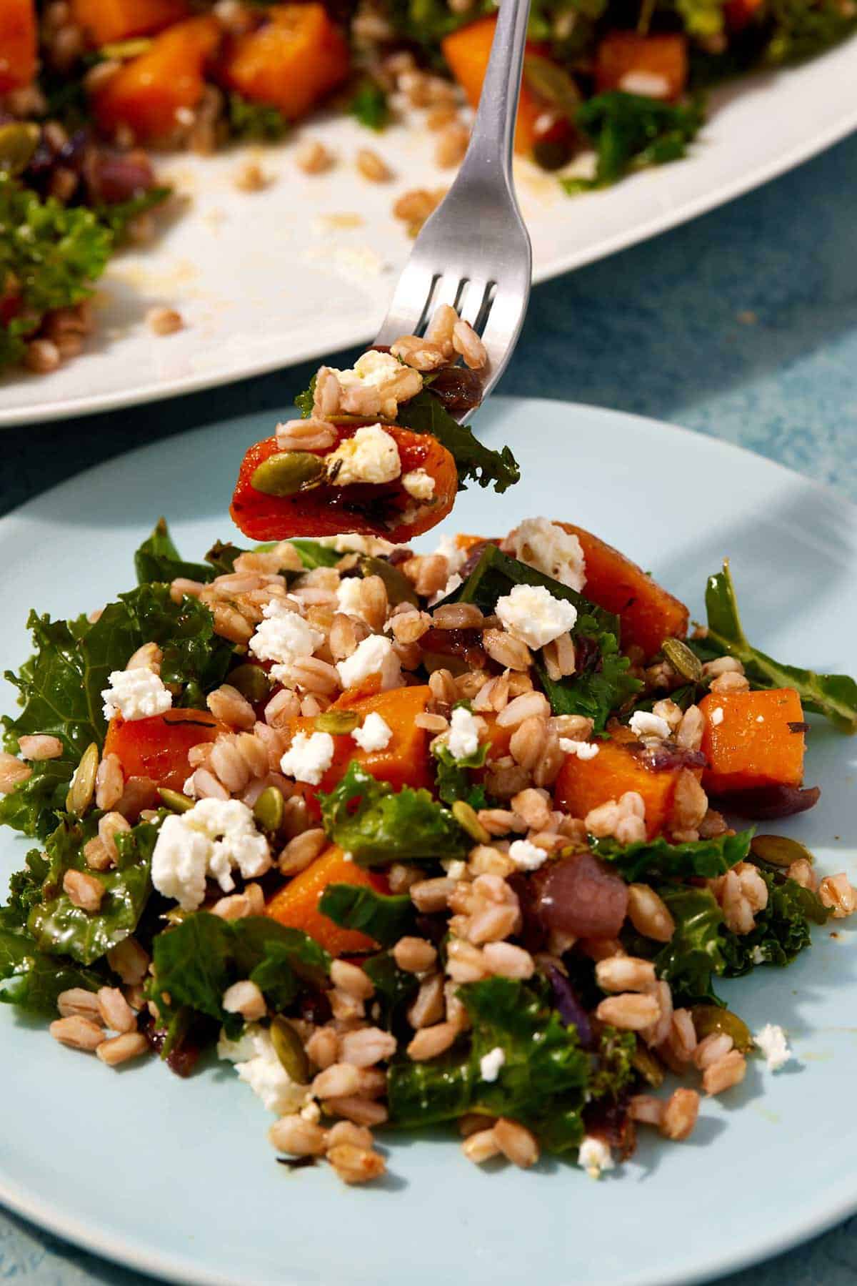 a bite of butternut squash salad being lifted off of a plate of the salad with a fork.