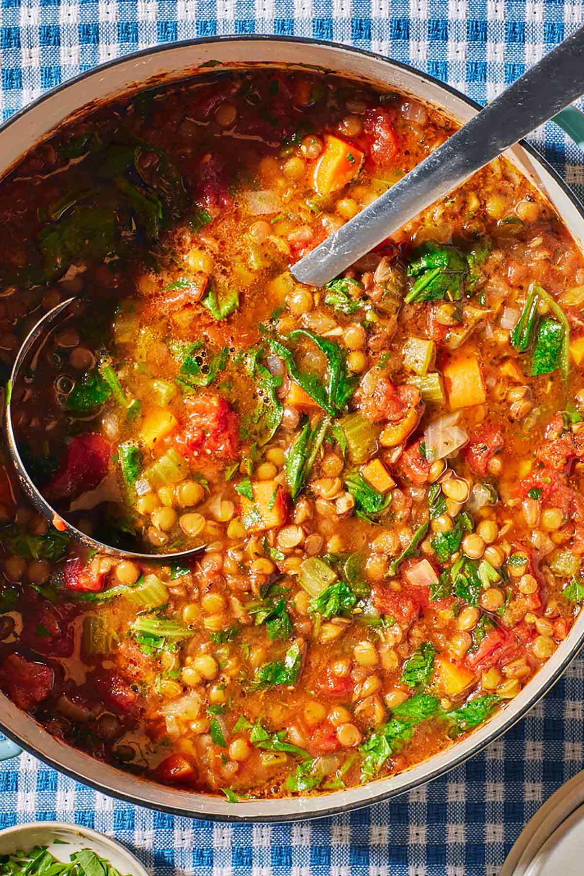 an overhead photo of Italian lentil soup in a pot with a ladle.