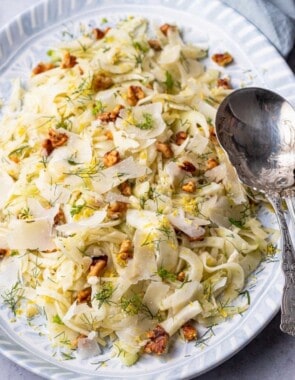 Fennel salad web story poster image.