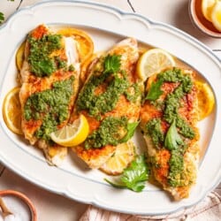 An overhead photo of 3 baked red snapper fillets topped with zhoug and parsley laying on lemon rounds on a serving platter. Surrounding this is a cloth napkin, and bowls of salt, pepper, zhoug and lemon slices.