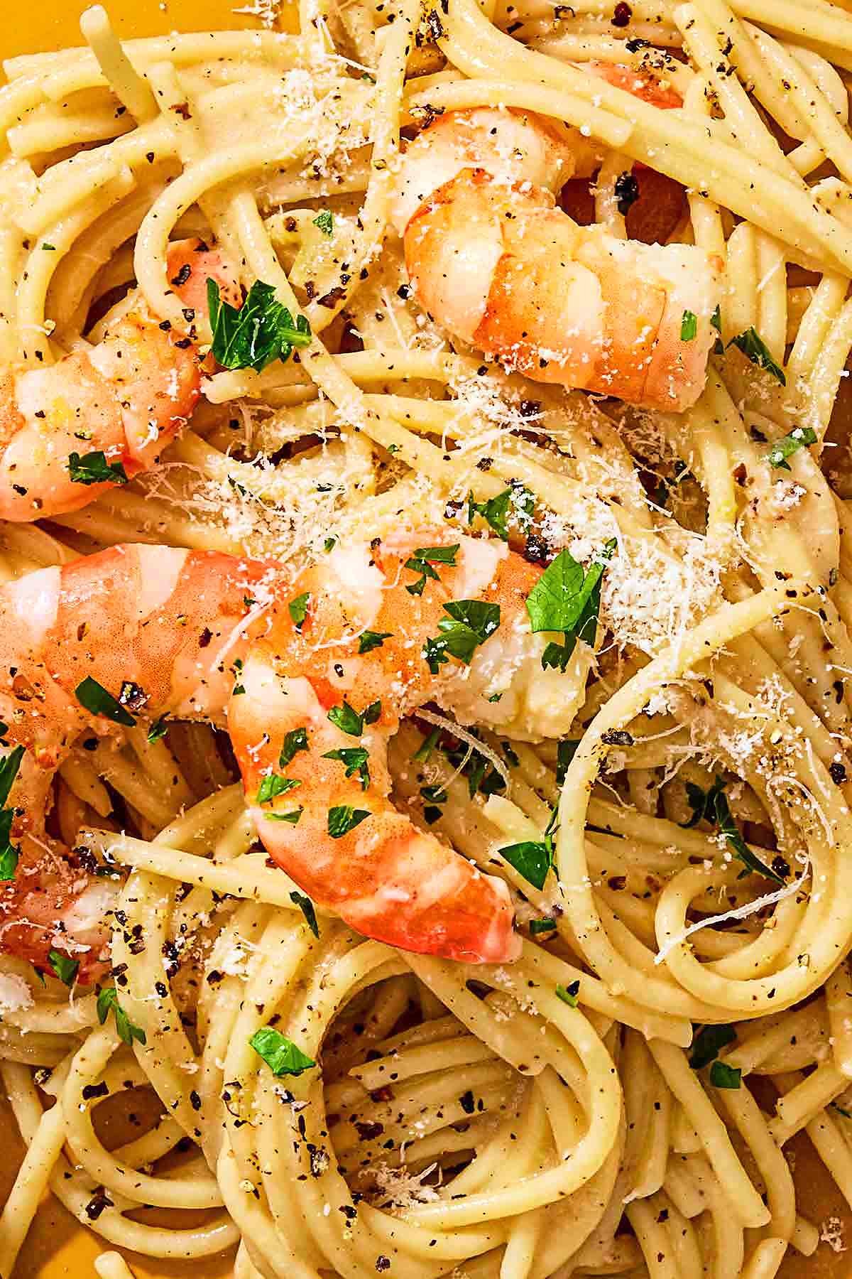 A close up of shrimp cacio e pepe.