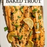 Pin image 2 for baked trout.