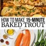 Pin image 3 for baked trout.