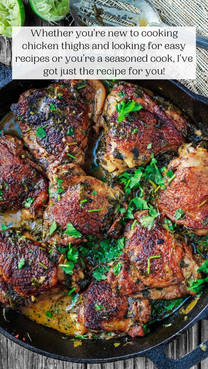 Best Chicken Thigh Recipes - The Mediterranean Dish