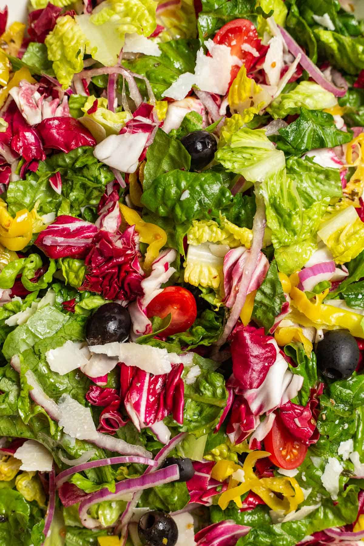 A close up of Italian Salad.