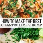 Pin image 3 for cilantro lime shrimp.