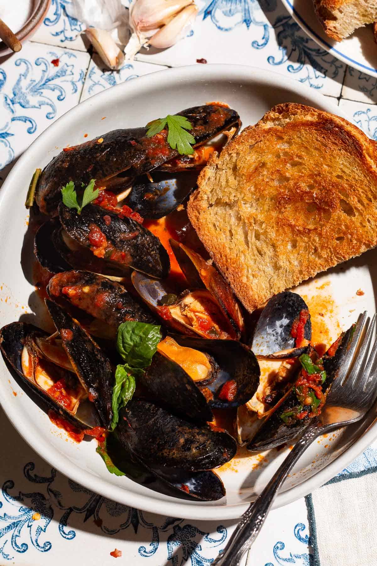 An overhead photo of mussels marinara in a bowl with a piece of toasted bread and a fork.