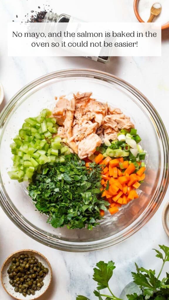 Salmon Salad - The Mediterranean Dish