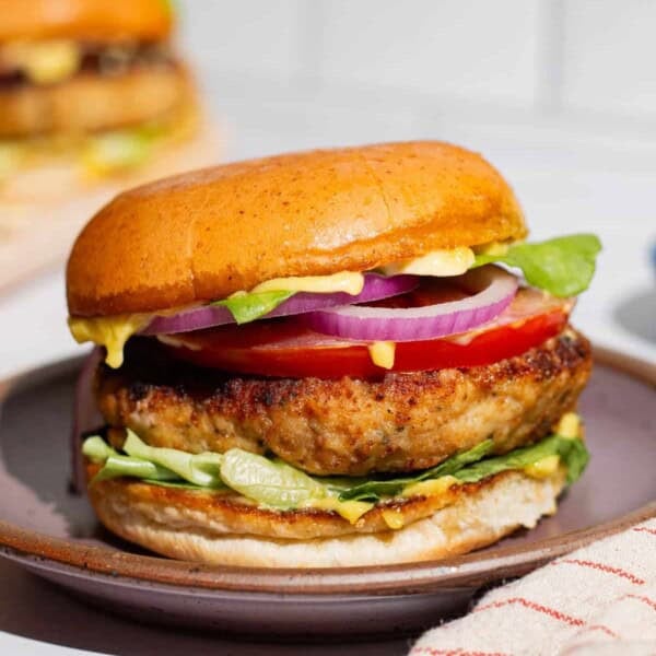 A close up of a chicken burger on plate.
