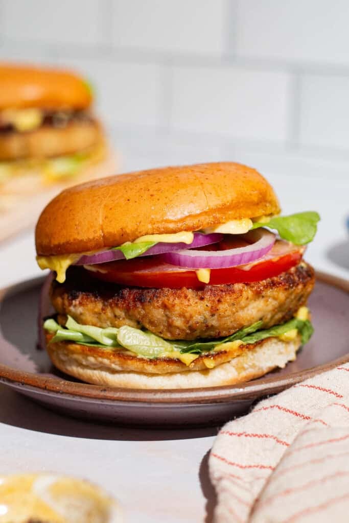 A close up of a chicken burger on plate.