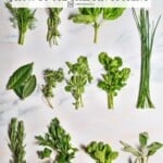 Pin image 1 for our guide to fresh herbs.