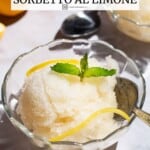 Pin image 1 for lemon sorbet.