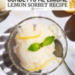 Pin image 2 for lemon sorbet.