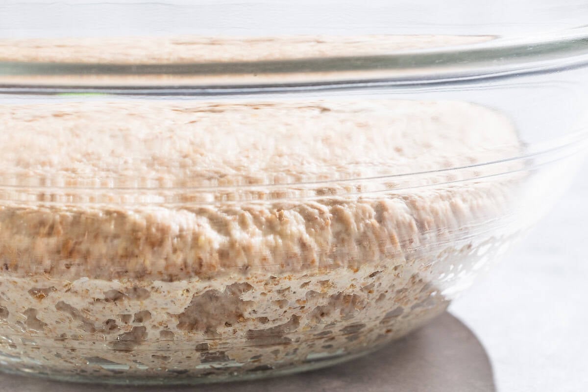 A close up of whole wheat pizza dough rising in a glass bowl.