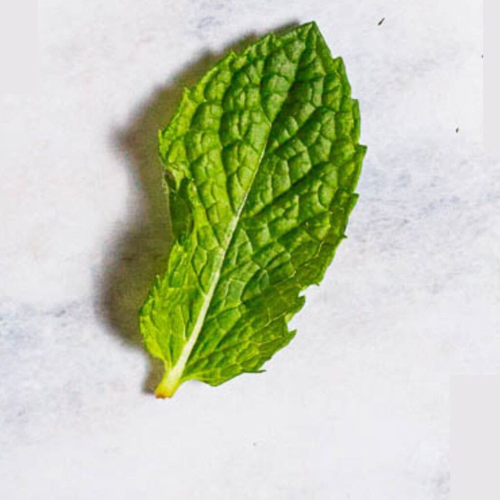 Fresh mint leaf.