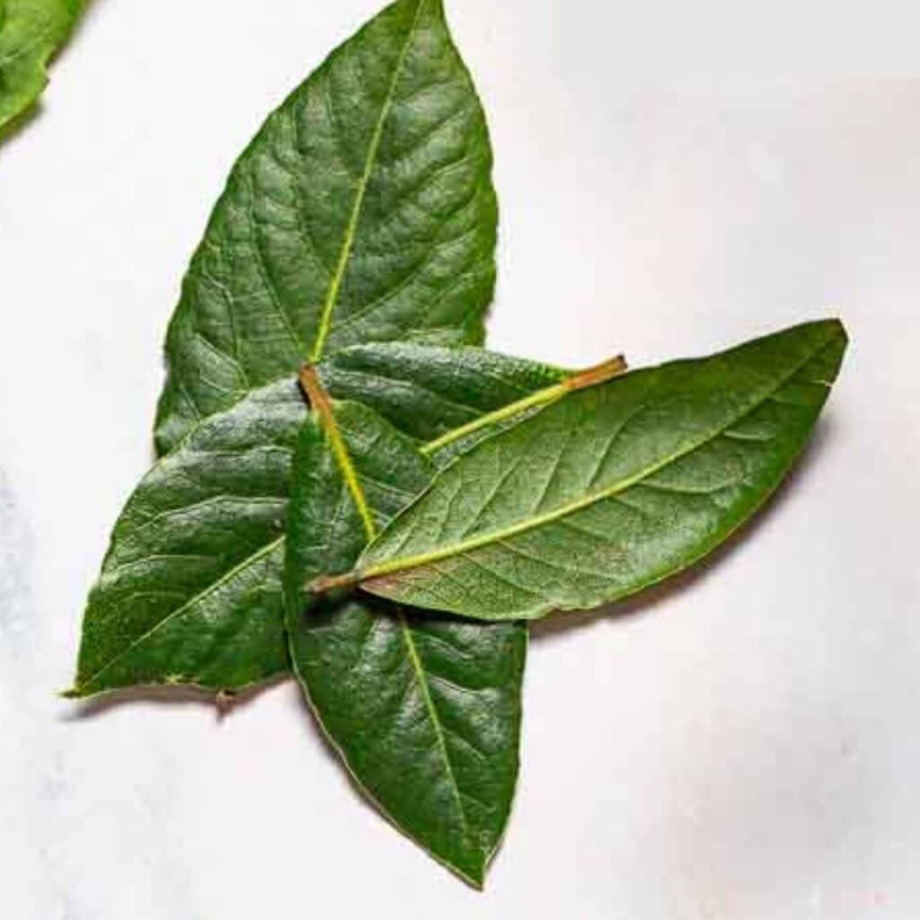 Close up of bay leaves.