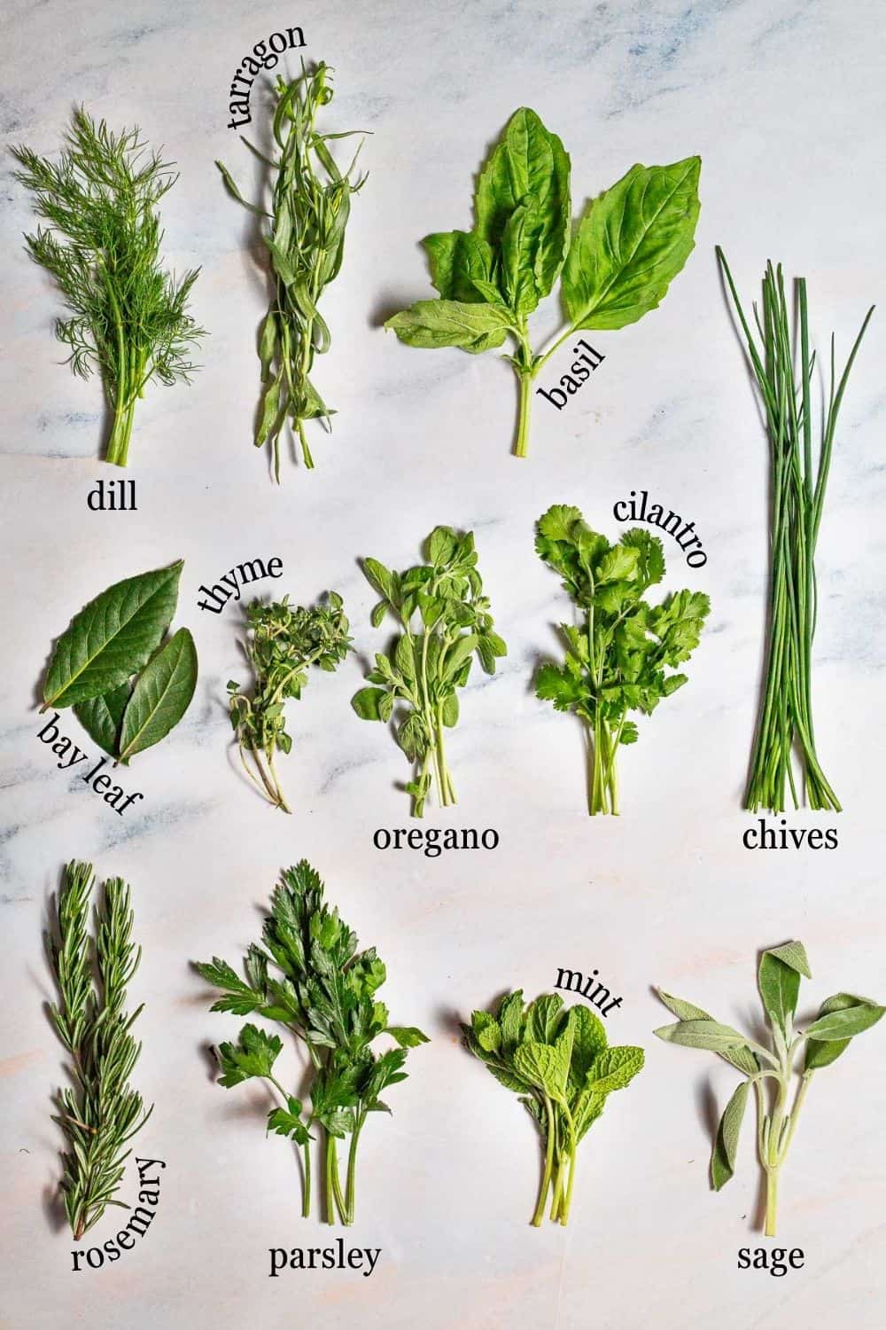 Graphic image labeling 12 fresh herbs against a white marble background: dill, tarragon, basil, bay leaf, thyme, oregano, cilantro, chives, rosemary, parsley, mint, and sage.