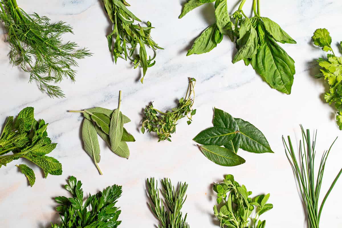 Herbs in groups against a white marble background, showing dill, tarragon, basil, cilantro, bay leaf, chives, oregano, rosemary, thyme, sage, parsley, and mint.