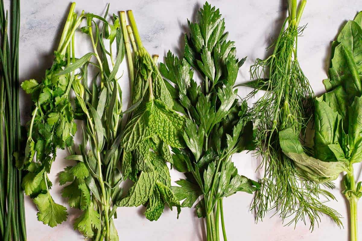 Tender herbs in groups on a white marble background, showing basil, dill, parsley, mint, tarragon, cilantro, and chives with little space in between.