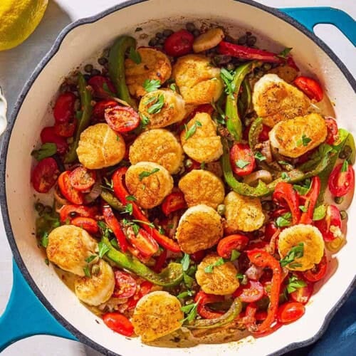 Seared Scallops | The Mediterranean Dish